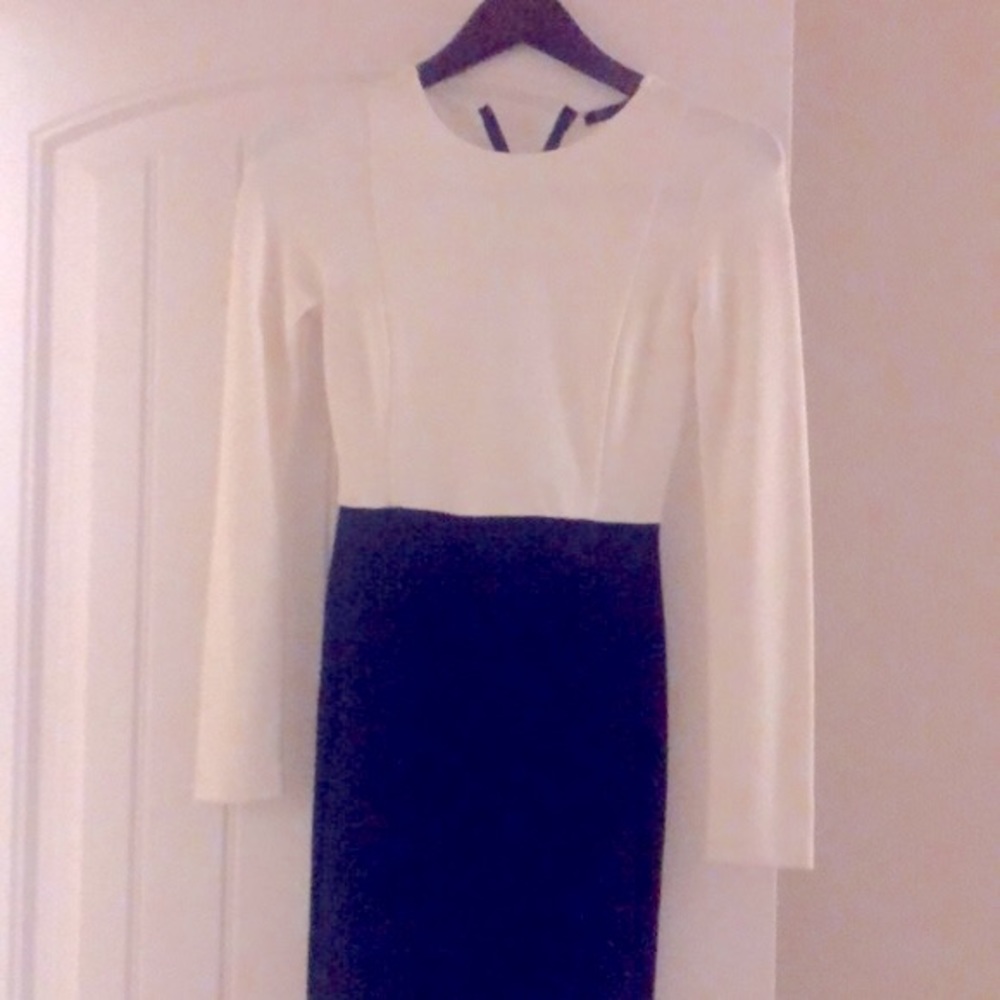 Zara Navy & White Zip Up Back Very Fitted Classic Look Size XS Dress